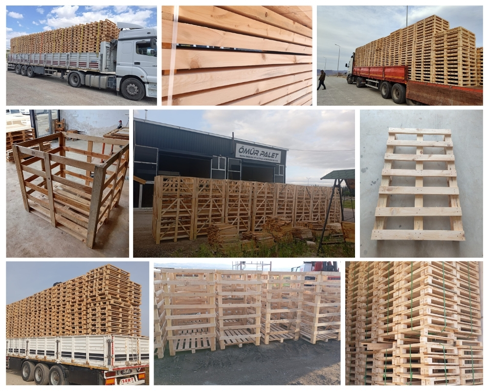Santpoort-Zuid Houten Kisten, Europallets Groothandel Kopen